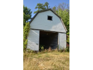 Property photo 9 - 64 Acre Farm Offered in 4 Tracts or in Combinations - Real Estate Auction